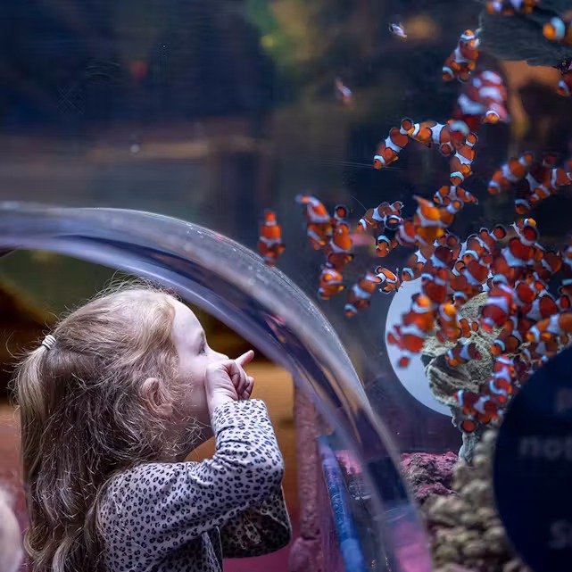 SEA LIFE Birmingham